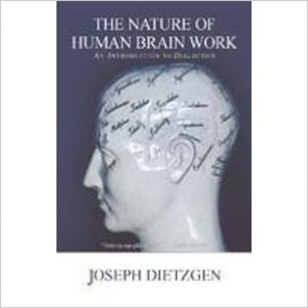 The Nature Of Human Brain Work