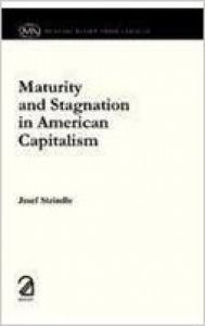Maturity and Stagnation in American Capitalism